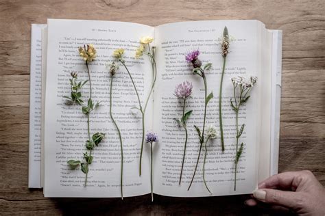 Can Paperback Books Be Recycled? And Why Do They Smell Like Adventure?